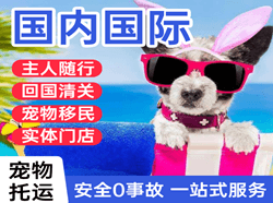 德宏空运国际宠物托运 【国